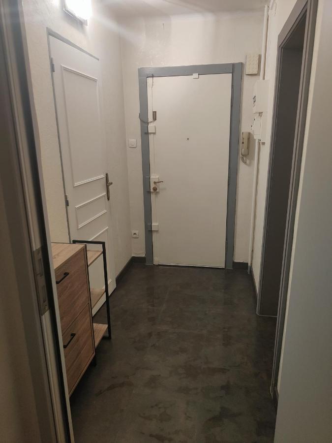 Tres Grand Appartement De 76M2 A Strasbourg Bagian luar foto