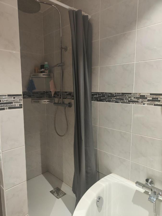 Tres Grand Appartement De 76M2 A Strasbourg Bagian luar foto