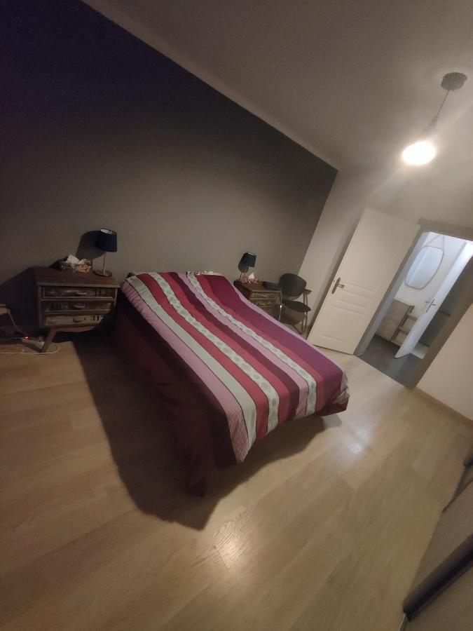 Tres Grand Appartement De 76M2 A Strasbourg Bagian luar foto