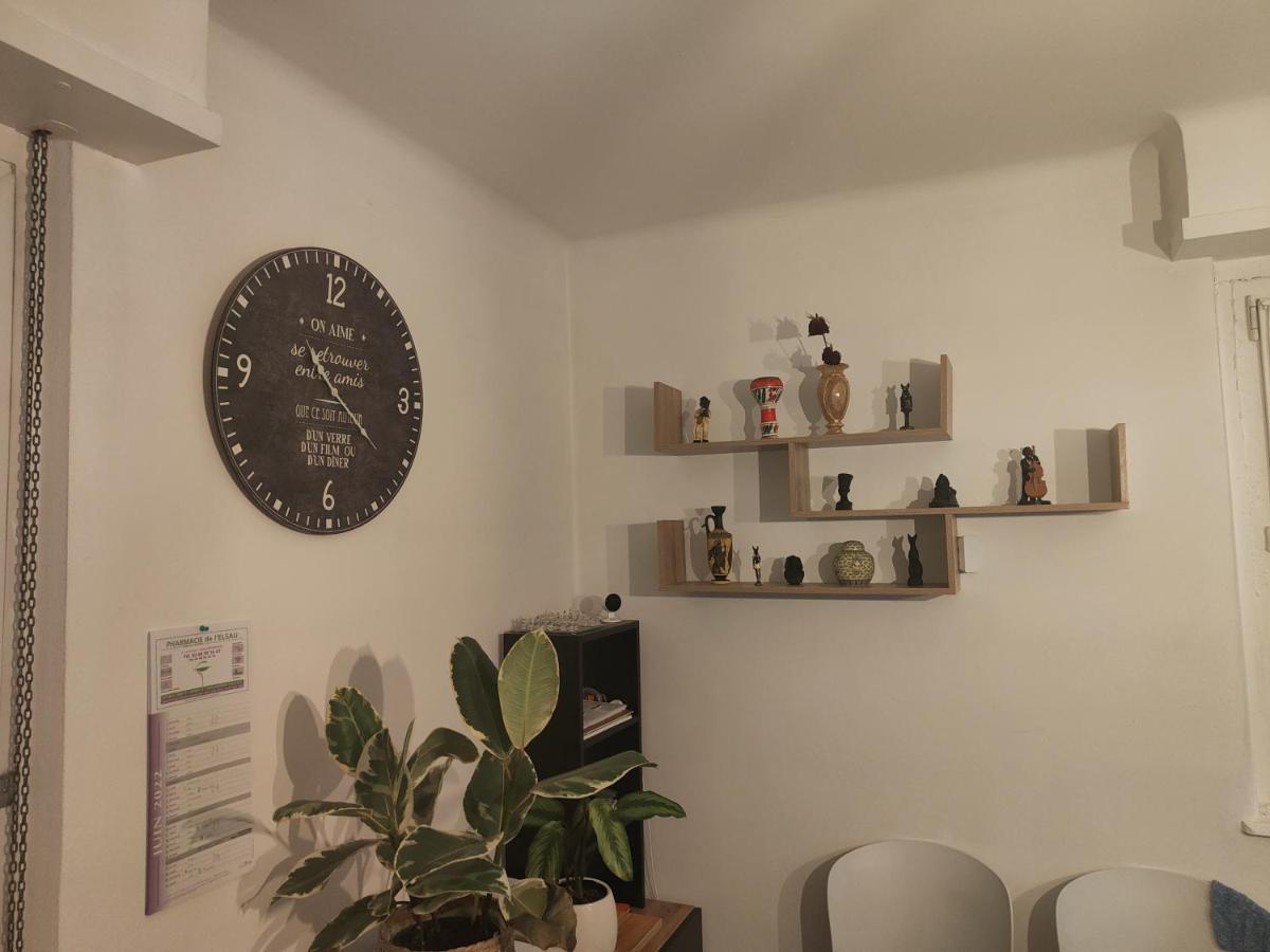 Tres Grand Appartement De 76M2 A Strasbourg Bagian luar foto