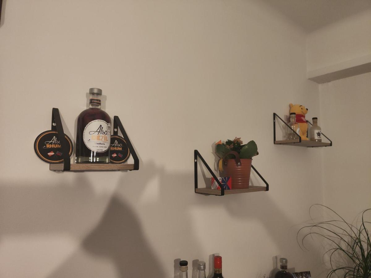 Tres Grand Appartement De 76M2 A Strasbourg Bagian luar foto